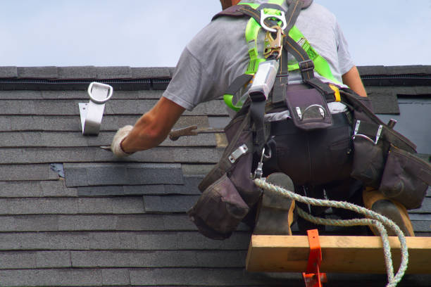 Best Gutter Installation and Repair  in Ladonia, AL
