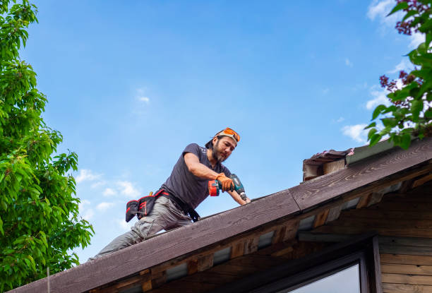 Trusted Ladonia, AL  Roofing repair and installation Experts