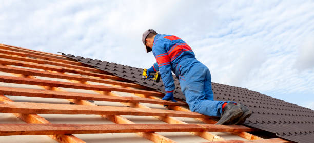 Best Rubber Roofing (EPDM, TPO)  in Ladonia, AL