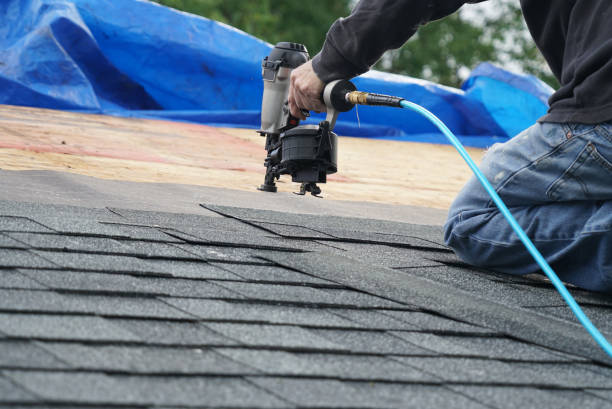 Best Metal Roofing Installation  in Ladonia, AL