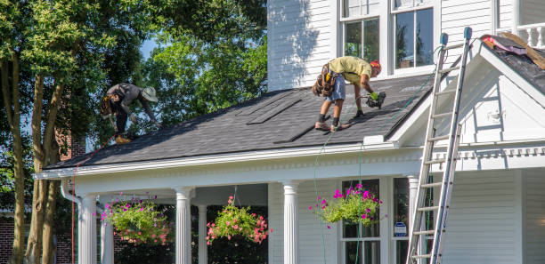 Best Metal Roofing Installation  in Ladonia, AL